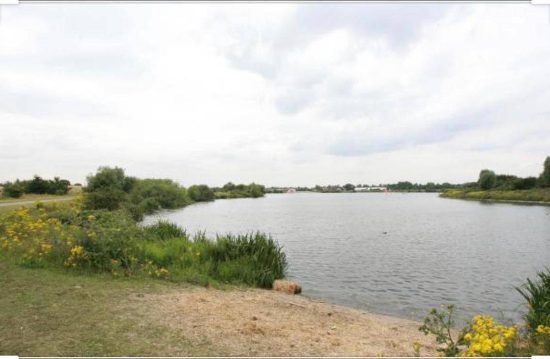 Cosy Cottage Annex In Fairlop イルフォード エクステリア 写真